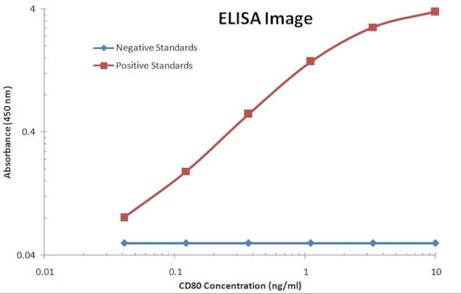 CD80 Antibody in ELISA (ELISA)