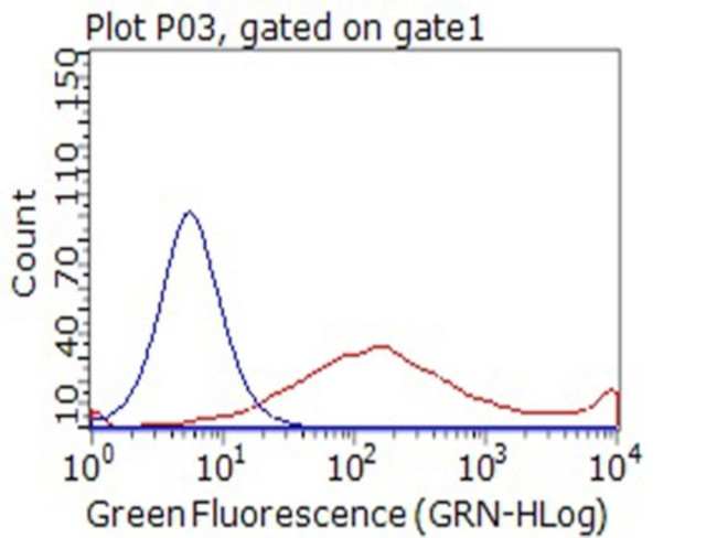 CD80 Antibody in Flow Cytometry (Flow)