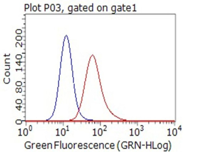 CD80 Antibody in Flow Cytometry (Flow)