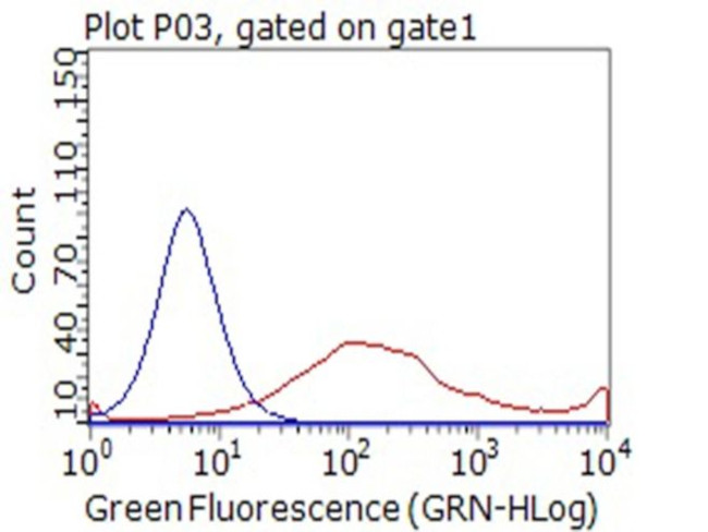 CD80 Antibody in Flow Cytometry (Flow)