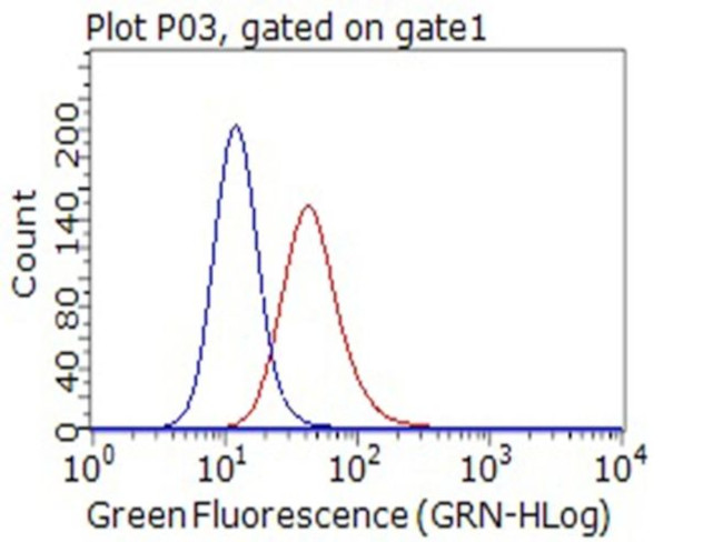 CD80 Antibody in Flow Cytometry (Flow)