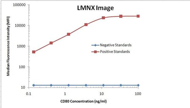 CD80 Antibody in Luminex (LUM)