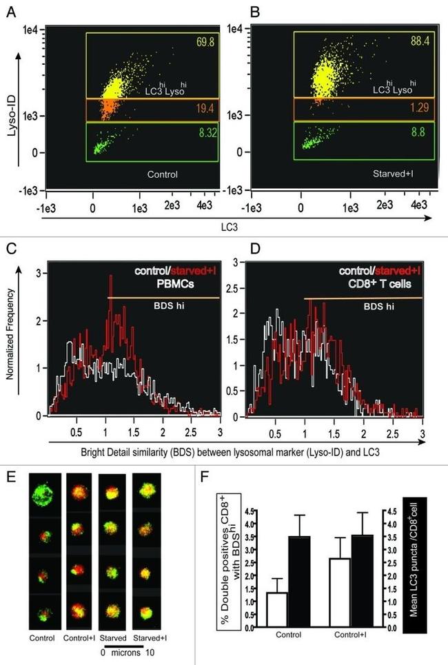 CD8 Antibody in Flow Cytometry (Flow)