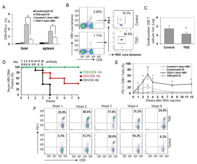 CD279 (PD-1) Antibody in Flow Cytometry (Flow)