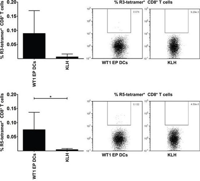 CD8 Antibody in Flow Cytometry (Flow)