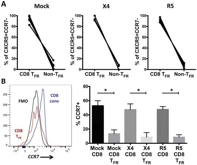 CD8a Antibody in Flow Cytometry (Flow)