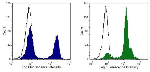 CD8 alpha Antibody in Flow Cytometry (Flow)