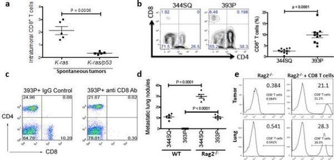 CD8b Antibody in Flow Cytometry (Flow)