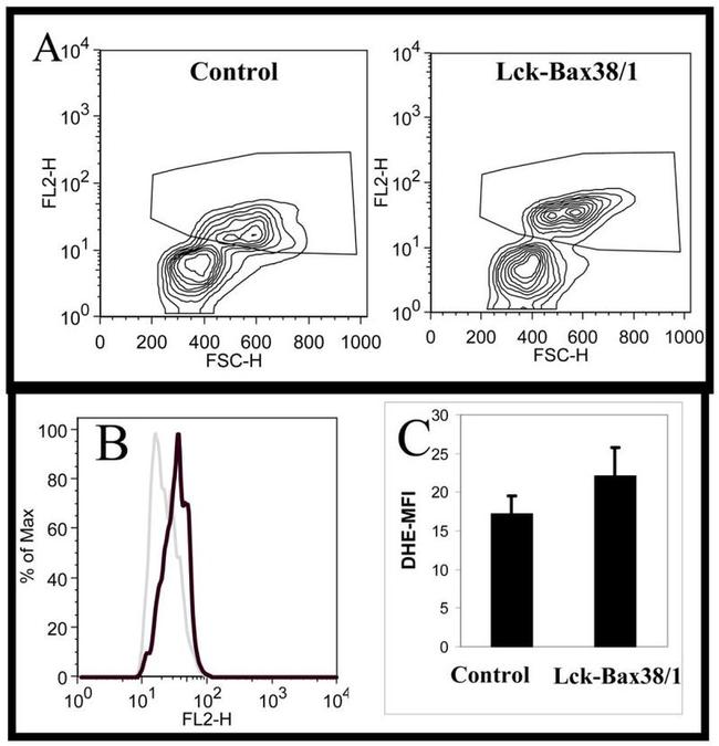 CD90.2 (Thy-1.2) Antibody in Flow Cytometry (Flow)