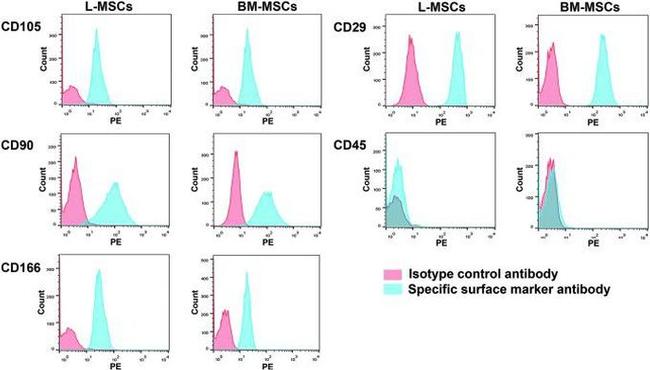 CD90 (Thy-1) Antibody in Flow Cytometry (Flow)