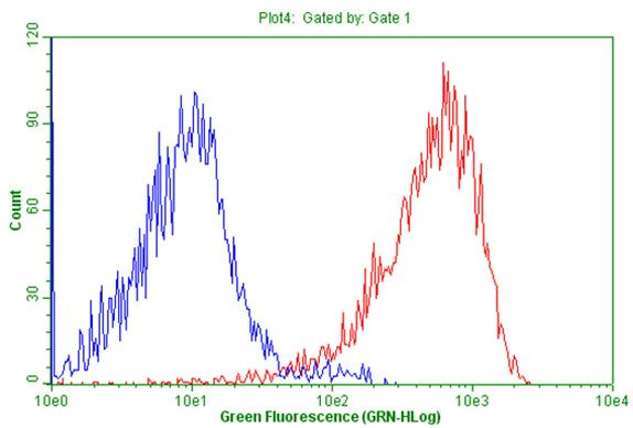 CD99 Antibody in Flow Cytometry (Flow)