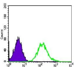 CDK1 Antibody in Flow Cytometry (Flow)