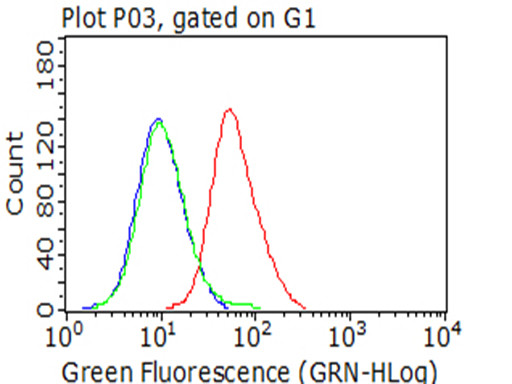 CDH1 Antibody in Flow Cytometry (Flow)