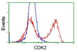 CDK2 Antibody in Flow Cytometry (Flow)