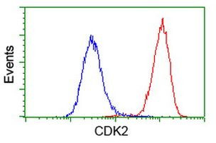 CDK2 Antibody in Flow Cytometry (Flow)