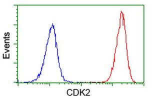 CDK2 Antibody in Flow Cytometry (Flow)