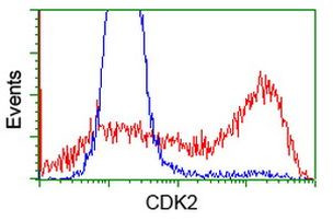 CDK2 Antibody in Flow Cytometry (Flow)