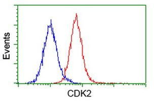 CDK2 Antibody in Flow Cytometry (Flow)