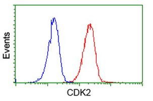 CDK2 Antibody in Flow Cytometry (Flow)