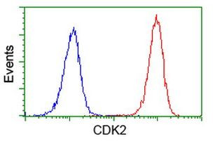 CDK2 Antibody in Flow Cytometry (Flow)