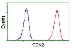 CDK2 Antibody in Flow Cytometry (Flow)