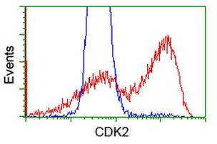 CDK2 Antibody in Flow Cytometry (Flow)