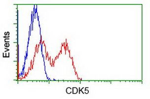 CDK5 Antibody in Flow Cytometry (Flow)