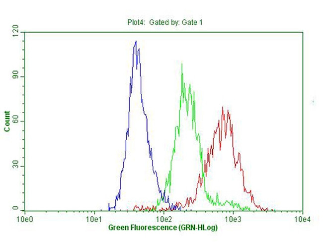 CDKN2A Antibody in Flow Cytometry (Flow)