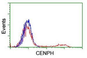 CENPH Antibody in Flow Cytometry (Flow)