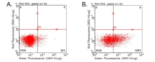 CD70 Antibody in Flow Cytometry (Flow)