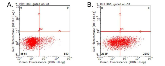 CD70 Antibody in Flow Cytometry (Flow)