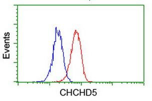 CHCHD5 Antibody in Flow Cytometry (Flow)