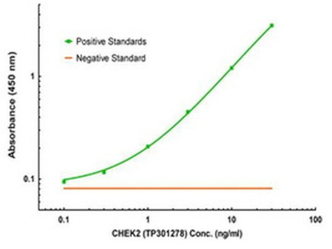 CHEK2 Antibody in ELISA (ELISA)