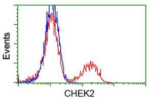 CHEK2 Antibody in Flow Cytometry (Flow)