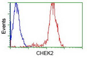 CHEK2 Antibody in Flow Cytometry (Flow)