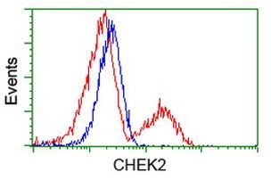 CHEK2 Antibody in Flow Cytometry (Flow)