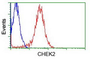 CHEK2 Antibody in Flow Cytometry (Flow)