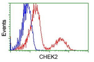 CHEK2 Antibody in Flow Cytometry (Flow)