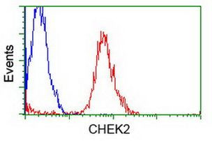 CHEK2 Antibody in Flow Cytometry (Flow)