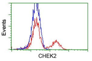 CHEK2 Antibody in Flow Cytometry (Flow)