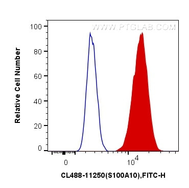 S100A10 Antibody in Flow Cytometry (Flow)