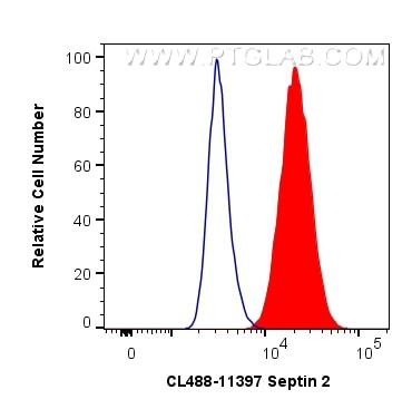 Septin 2 Antibody in Flow Cytometry (Flow)