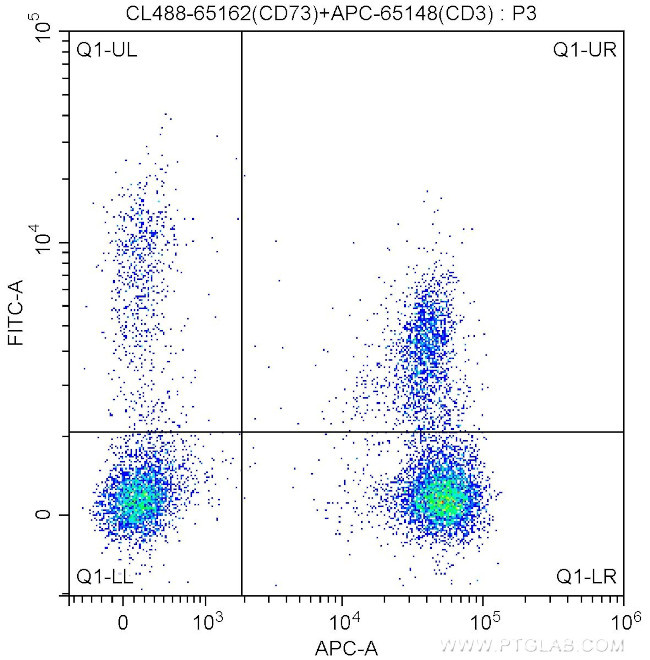 CD73 Antibody in Flow Cytometry (Flow)