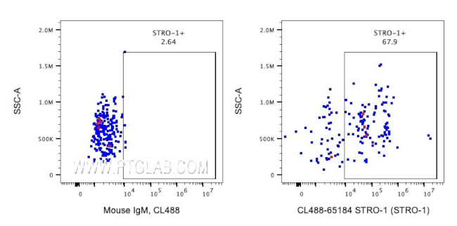 STRO-1 Antibody in Flow Cytometry (Flow)