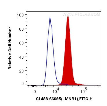 Lamin B1 Antibody in Flow Cytometry (Flow)