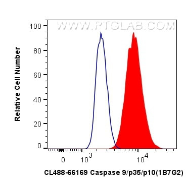 Caspase 9/p35/p10 Antibody in Flow Cytometry (Flow)