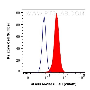 GLUT1 Antibody in Flow Cytometry (Flow)