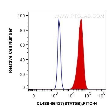 STAT5B Antibody in Flow Cytometry (Flow)