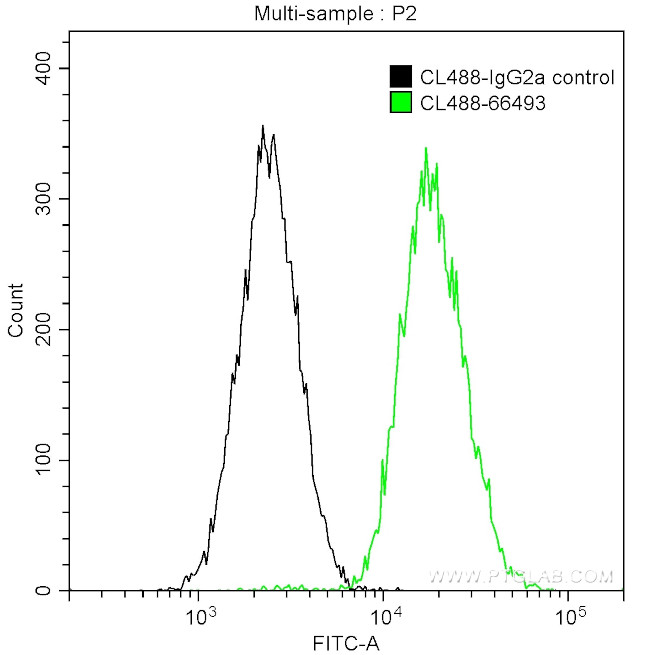 PKC iota Antibody in Flow Cytometry (Flow)