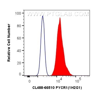 PYCR1 Antibody in Flow Cytometry (Flow)